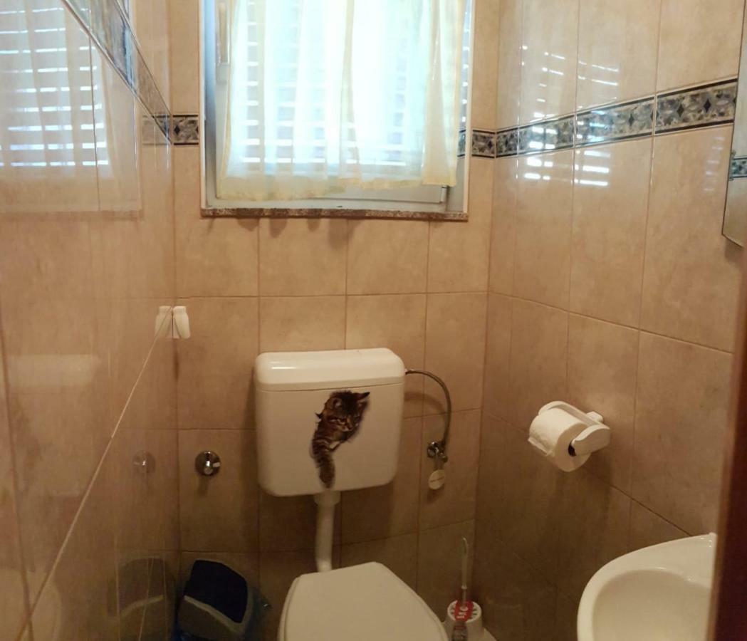 Apartament Apartman Leon Szybenik Zewnętrze zdjęcie